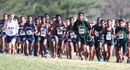 Boys race off from the starting line at the 2018 State Cross Country Championships.