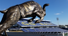 Picture of the Navy mascot statue inside of Navy-Marine Corps Memorial Stadium.