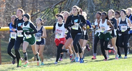 The Class 4A female runners head into a turn along the fence during the 2017 State Meet.