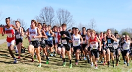 Male cross country runners dash up the hill during the 2017 Class 4A State Meet.