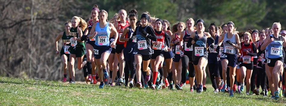 Female runners take off from the start of the 2018 Class 3A State Cross Country Championships.