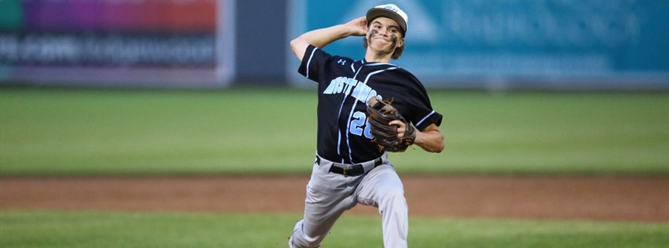 A pitcher throws one towards the plate at the 2019 Class 3A State Baseball Final.