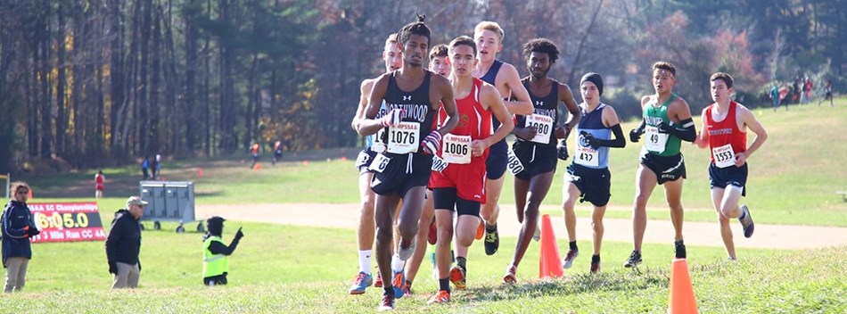 A pack of male runners try to move up during the 2018 Class 4A State Cross Country Championships.